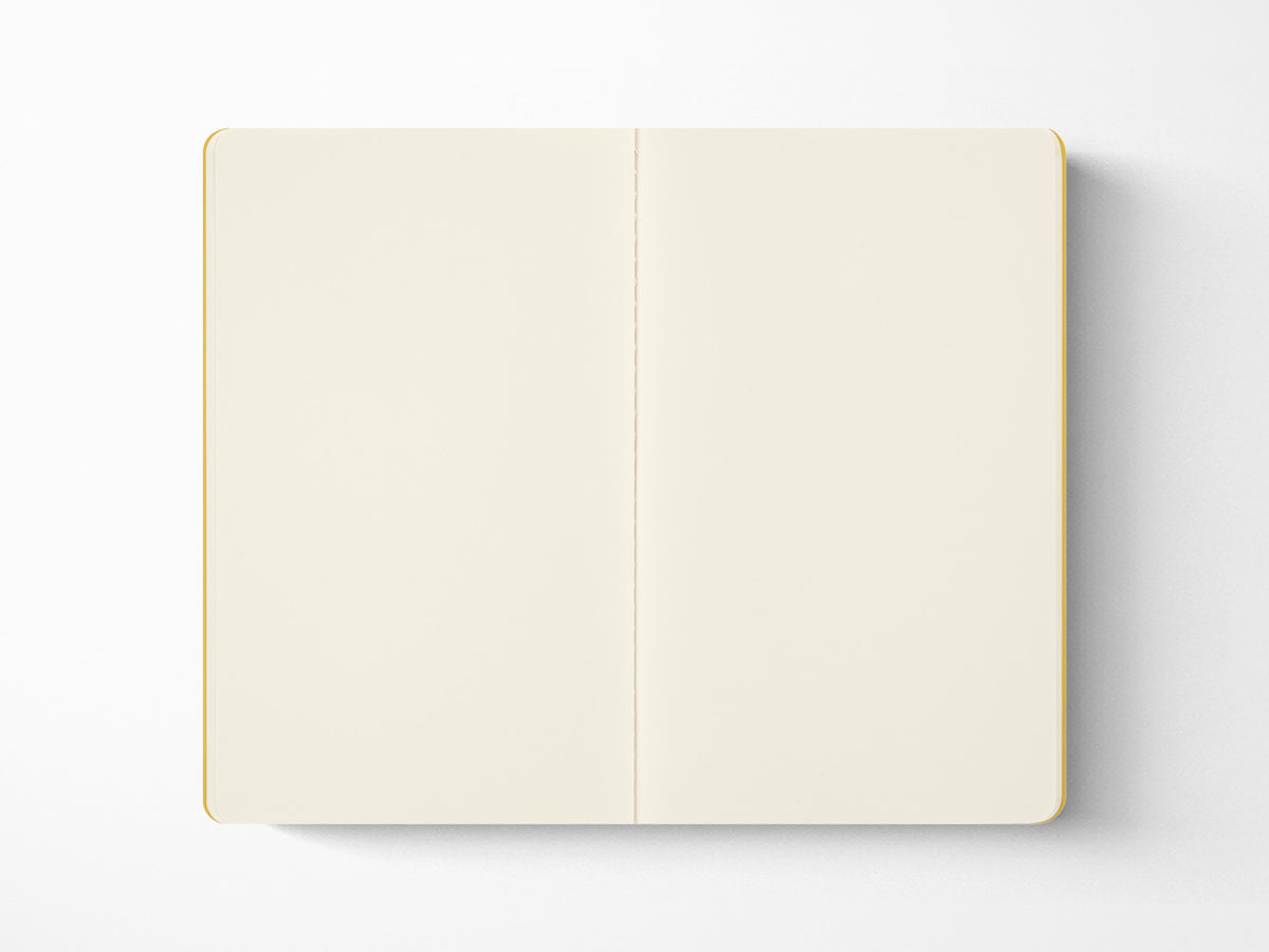 Moleskine MoMA Vincent van Gogh Cahier Journals Set of 2