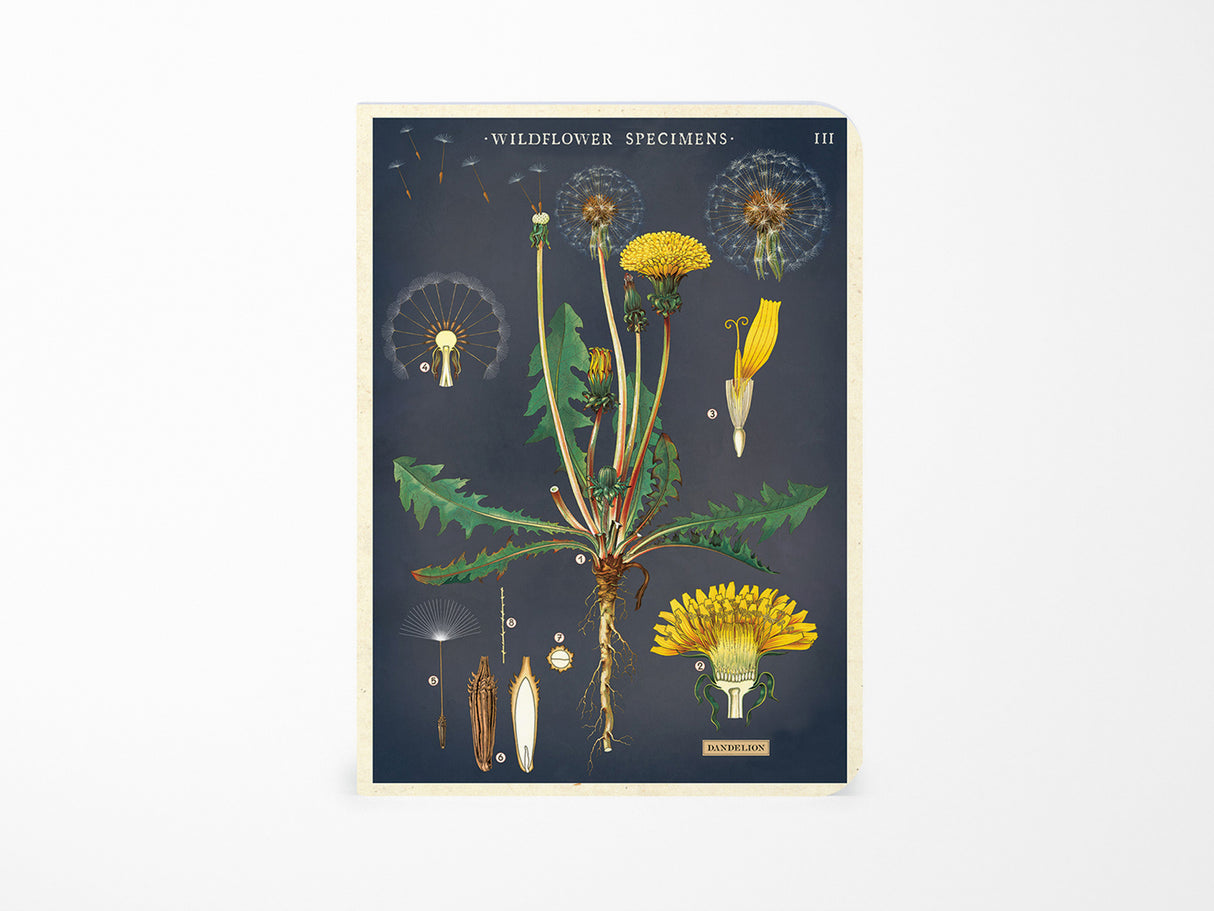 Cavallini Mini Vintage Notebooks Set of 3 - Wildflowers