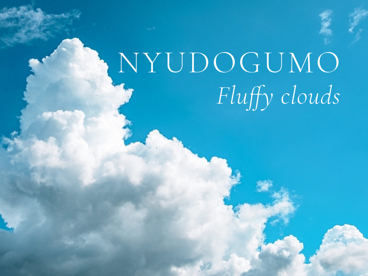 Sailor Pro Gear Slim Fountain Pen - Japanese Scenery - Nyudogumo