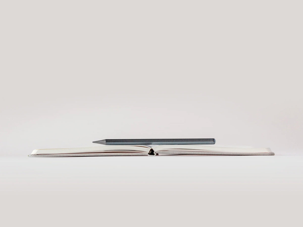 A Notebook For Bad Ideas
