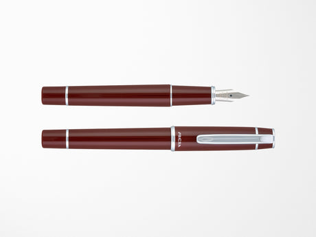 Pilot Prera Fountain Pen - Brown