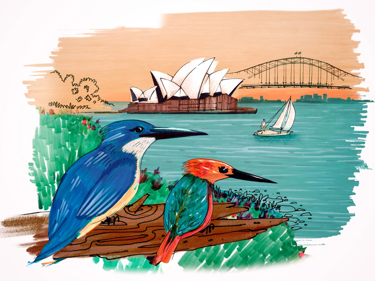 Faber-Castell Artist Pitt Pen Set - City Collection - Sydney