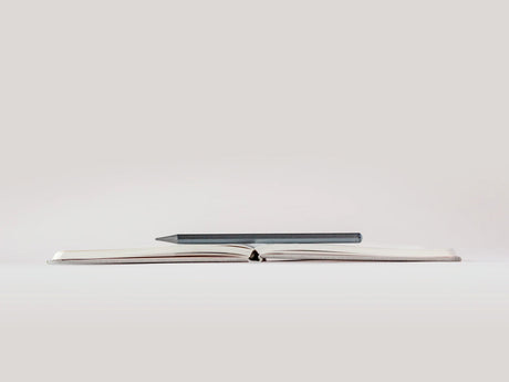 A Notebook For Bad Ideas