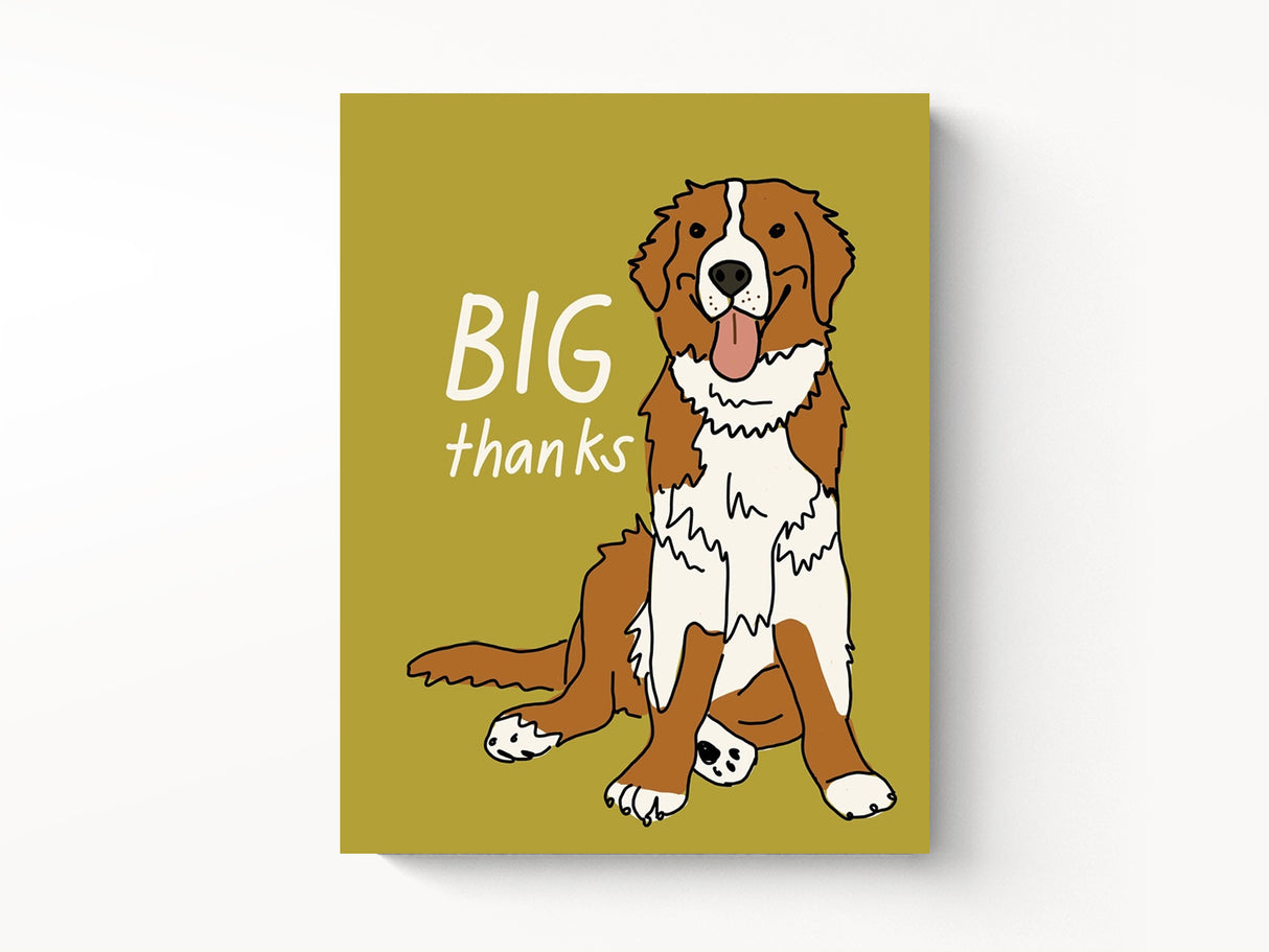 BIG Thanks Greeting Cards, Box of 6