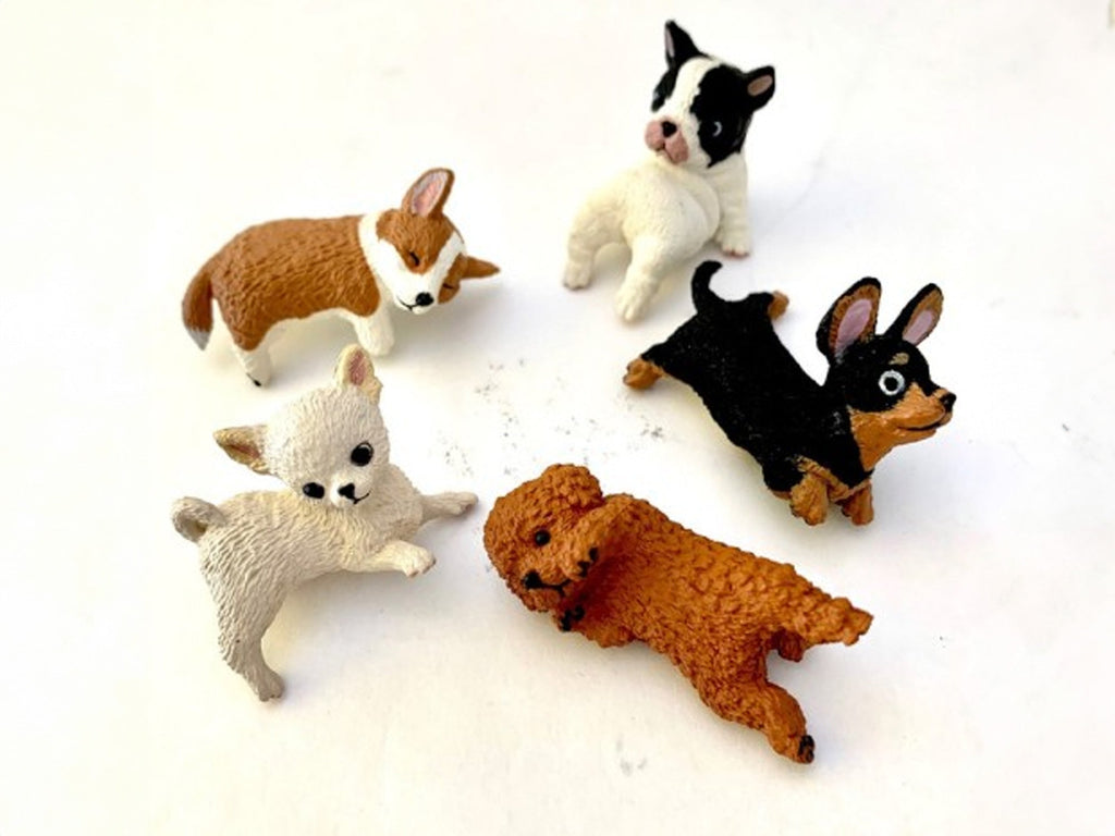 BLIND BOX - RESTING DOGS