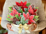 Birch Poinsettia Pop Up Greeting Bouquet