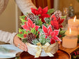 Birch Poinsettia Pop Up Greeting Bouquet