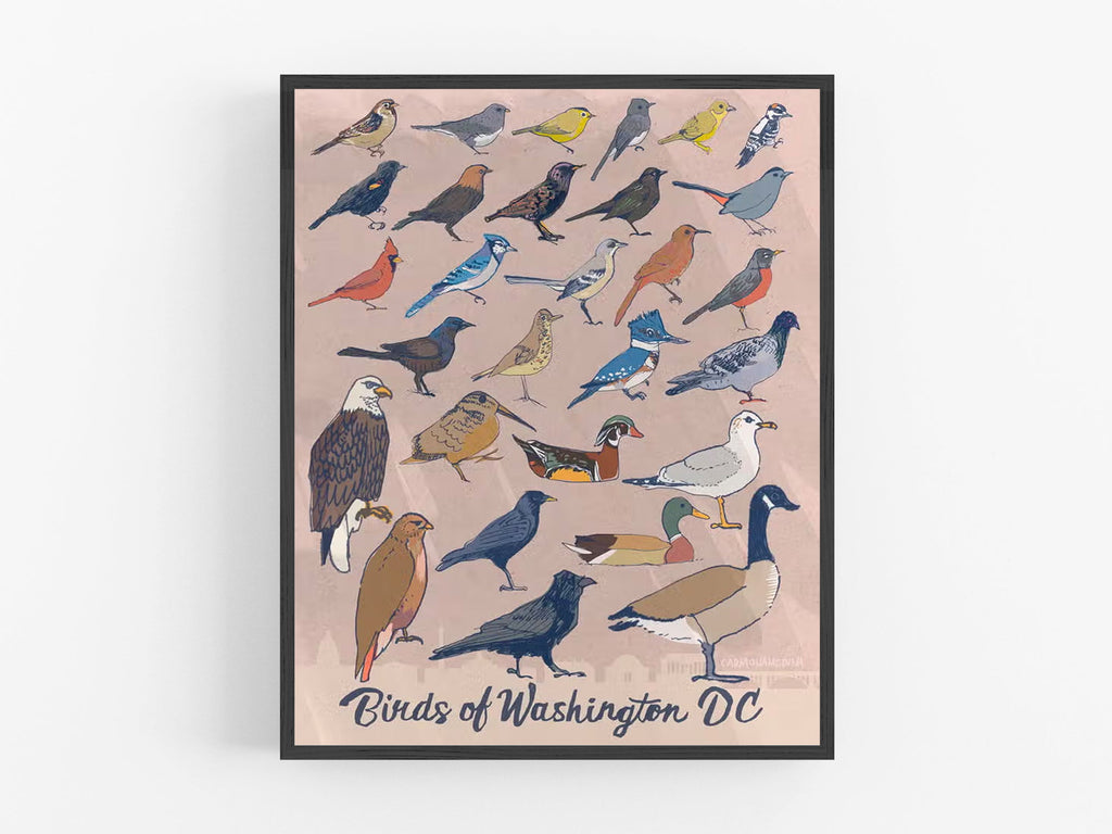 Birds of Washington DC Print