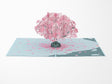 Birthday Cherry Blossom Pop-Up Card