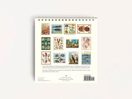 Cavallini 2026 DESK Calendar - Sea Life