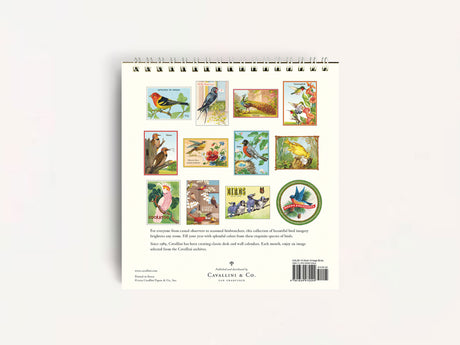 Cavallini 2026 DESK Calendar - Vintage Birds