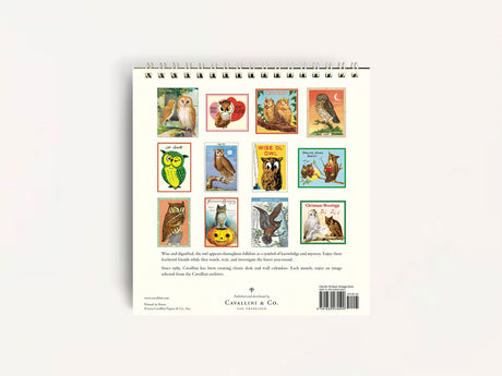 Cavallini 2026 DESK Calendar - Vintage Owls