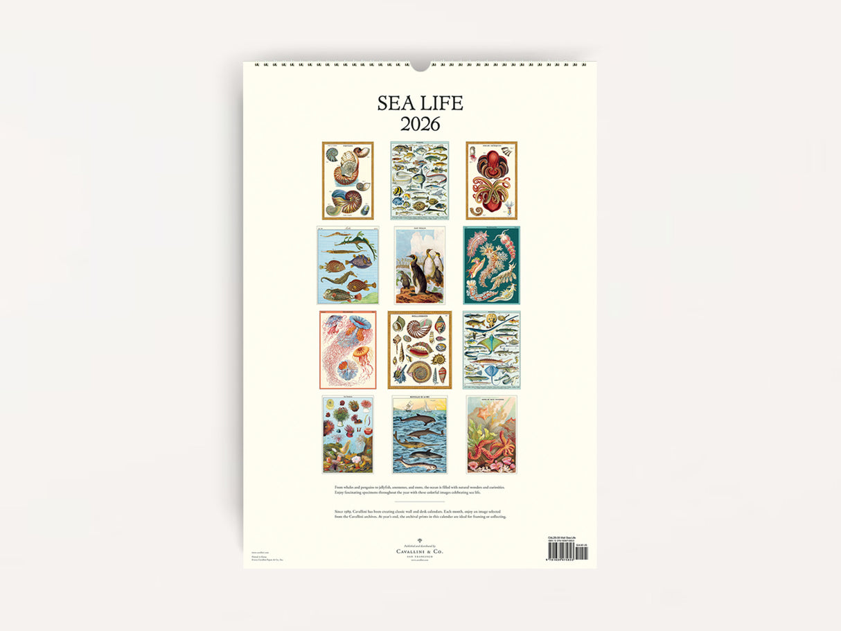 Cavallini 2026 WALL Calendar - Sea Life