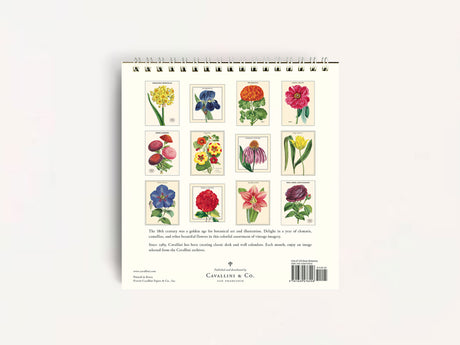 Cavallini 2027 DESK Calendar - Botanica
