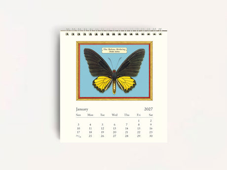 Cavallini 2027 DESK Calendar - Butterflies