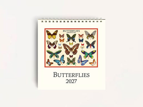 Cavallini 2027 DESK Calendar - Butterflies
