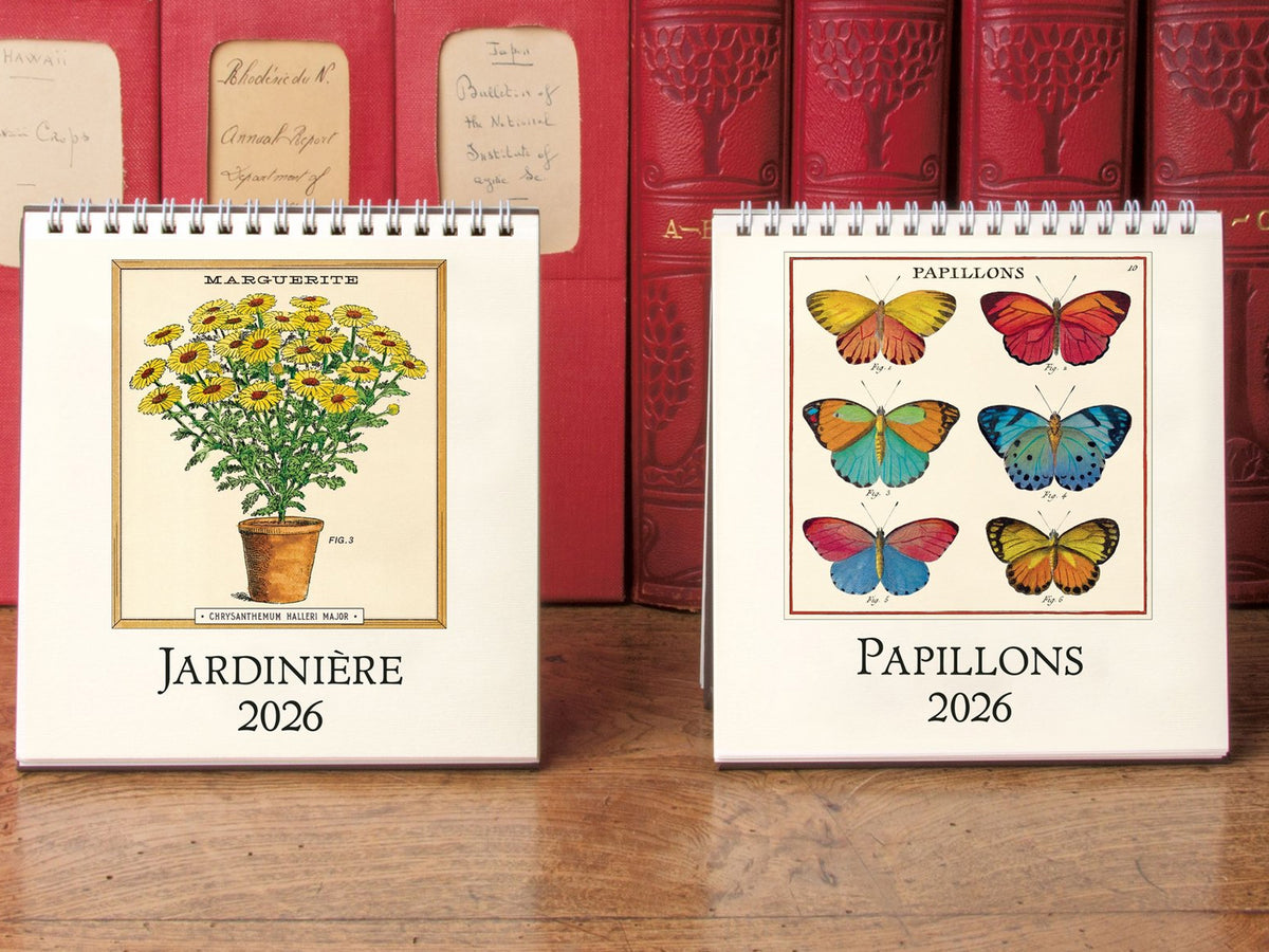 Cavallini 2027 DESK Calendar - Foraging