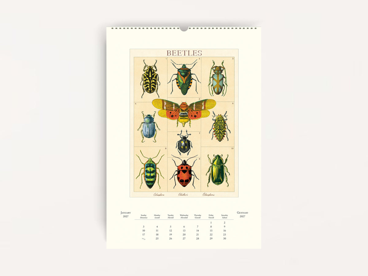 Cavallini 2027 WALL Calendar - Entomology