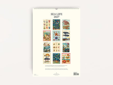 Cavallini 2027 WALL Calendar - Sea Life