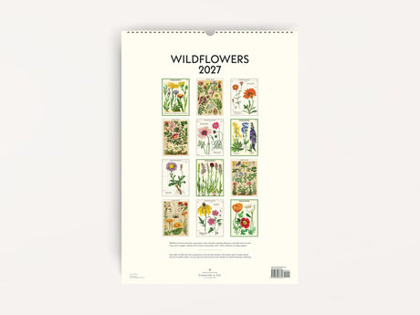 Cavallini 2027 WALL Calendar - Wildflowers