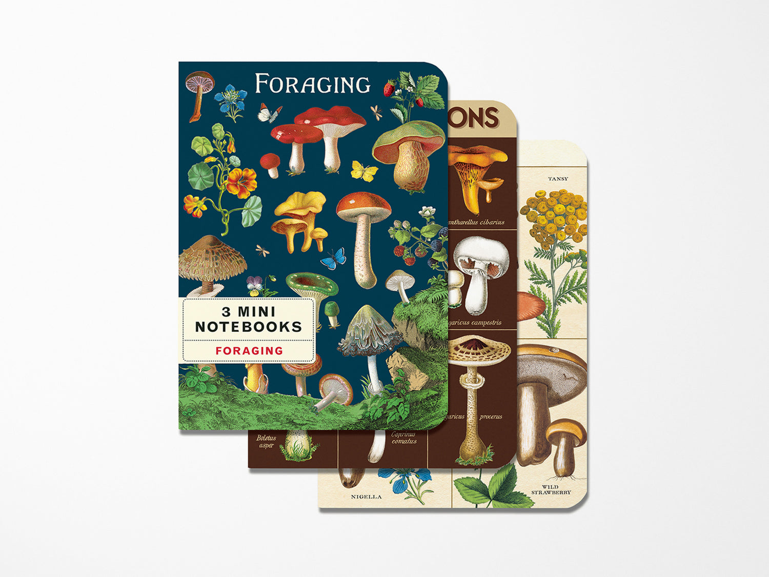 Cavallini Mini Vintage Notebooks Set of 3 - Foraging