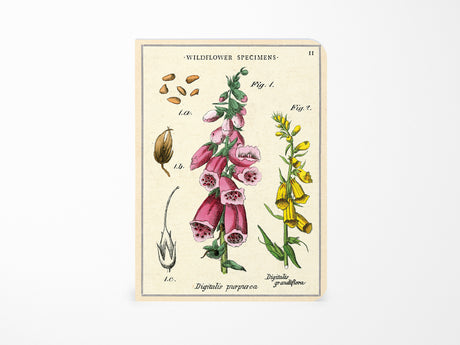 Cavallini Mini Vintage Notebooks Set of 3 - Wildflowers