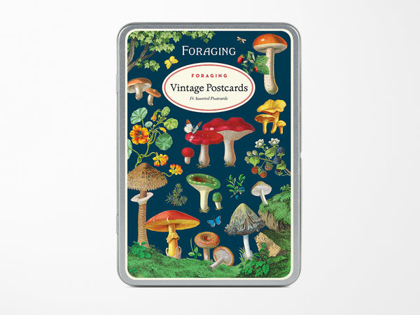 Cavallini Vintage Postcards Set - Foraging – Jenni Bick Custom