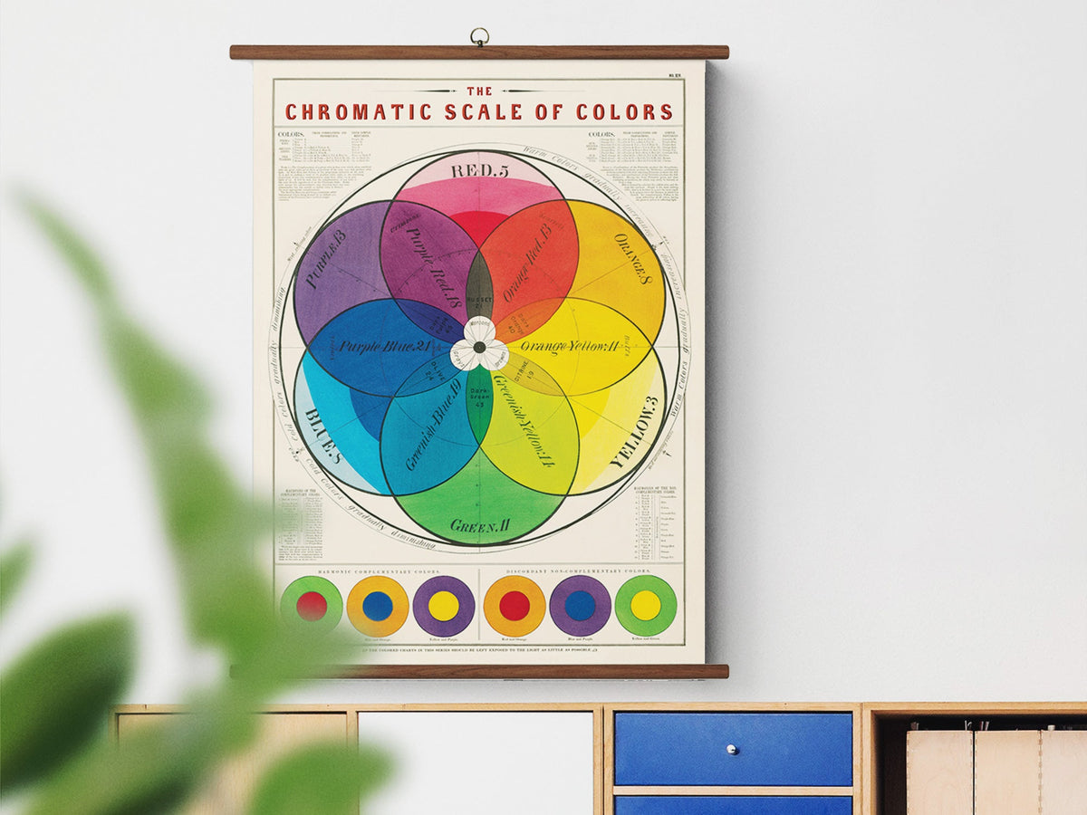 Criminal Color Scale Cavallini Vintage School Chart - Chromatic Scale of Colors – Jenni Bick ...