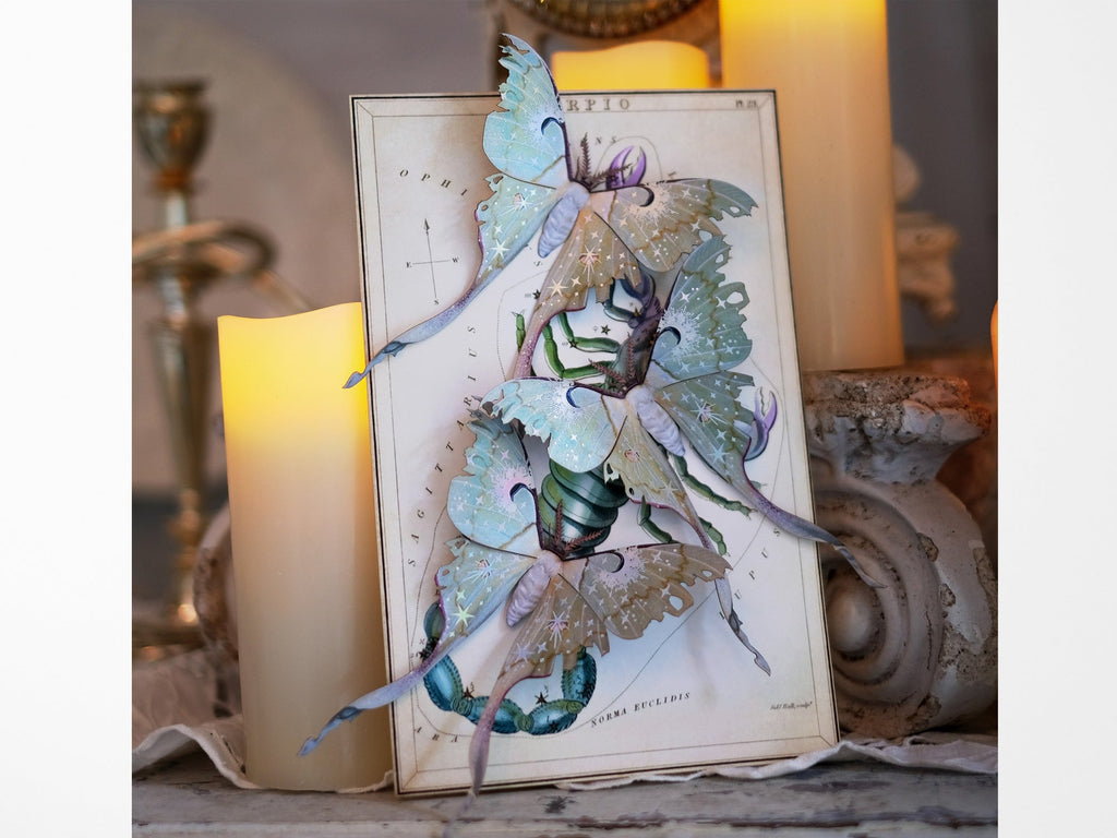 Celestial Beings Paper Luna Moth Set