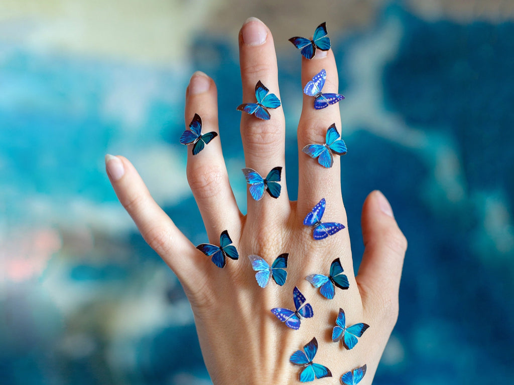 Cerulean Micro Morpho Butterfly Collection