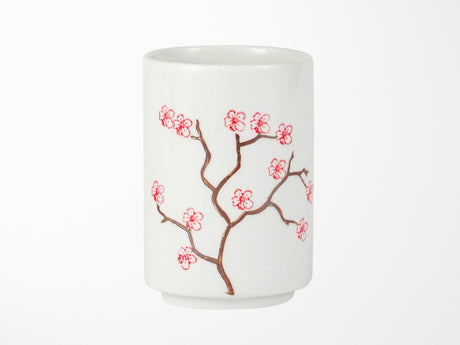 Cherry Blossoms Sakura Yunomi Style Tea Cup