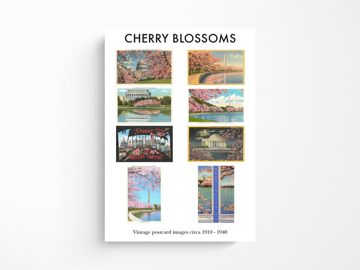 Cherry Blossoms in DC Postcard Booklet