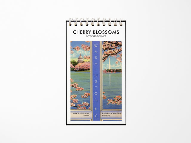 Cherry Blossoms in DC Postcard Booklet