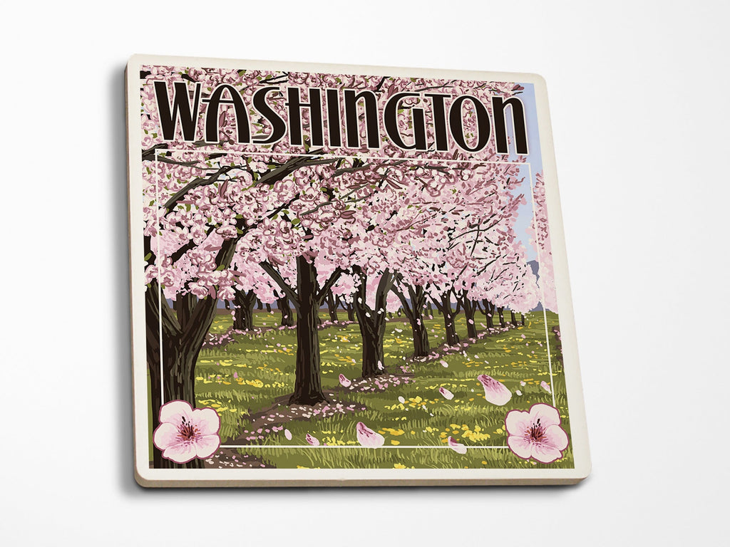 Coaster Washington Cherry Tree Blossoms