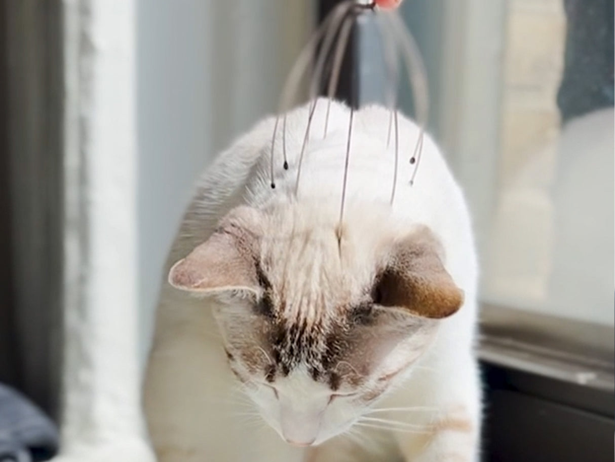 Copper Head Massager