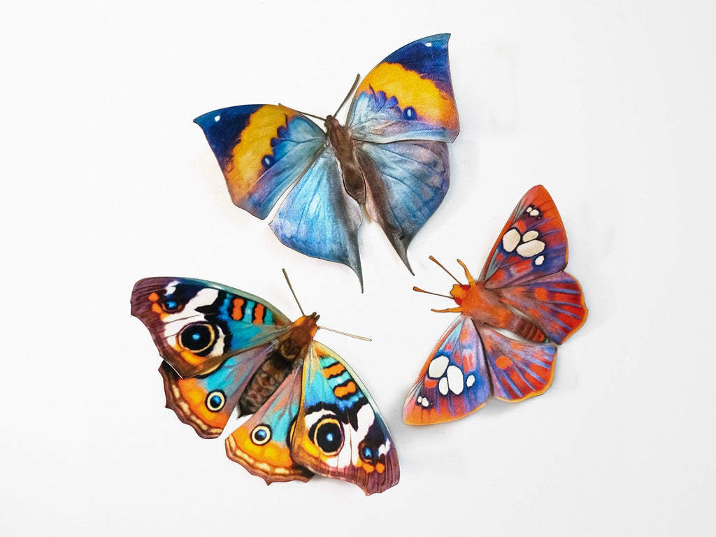 Dawn Butterfly Set of 3