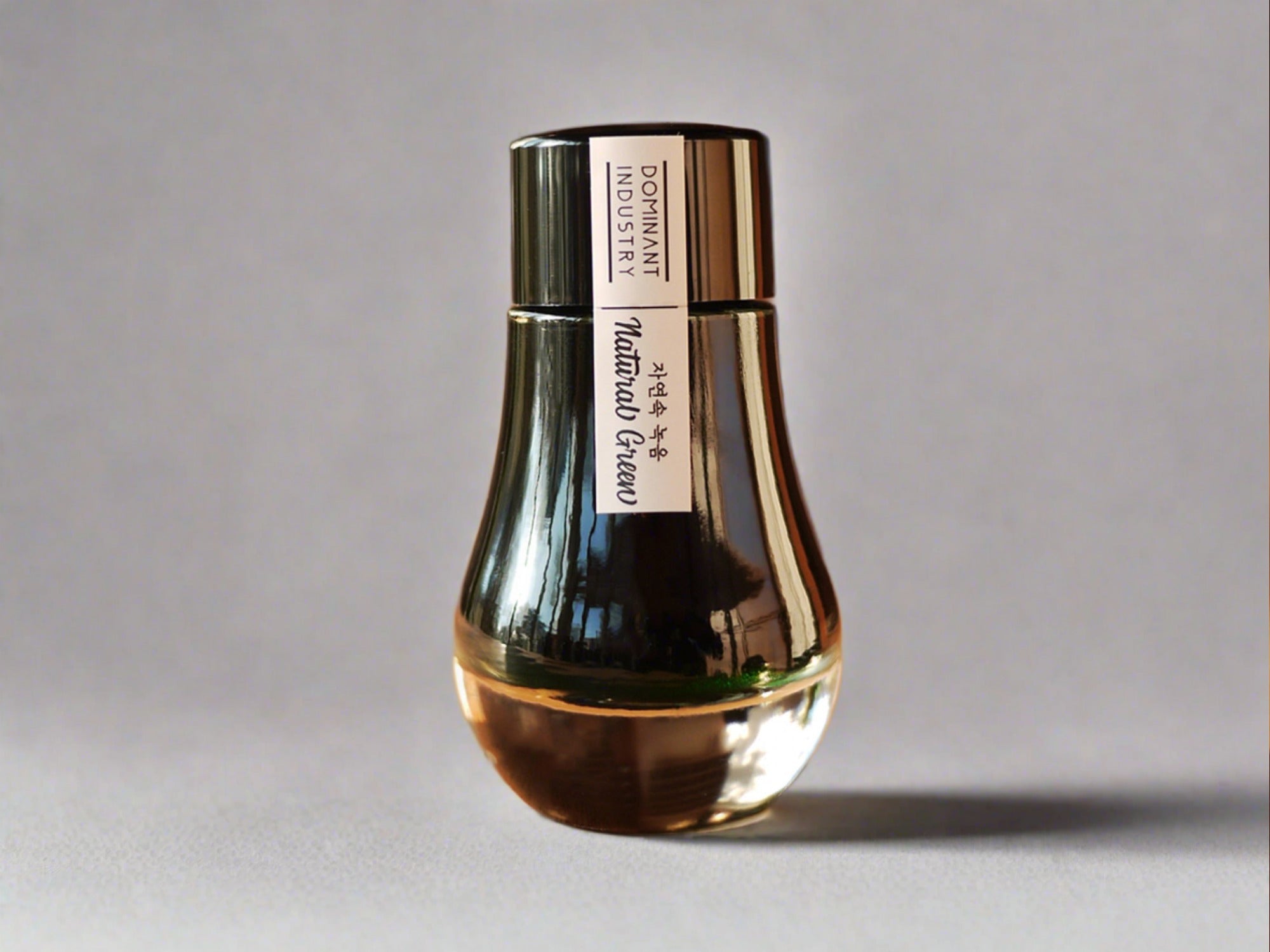 Dominant Industry Fountain Pen Ink 007 Natural Green – Jenni Bick