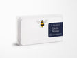 E. Frances Bee Little Notes® New 55 Count