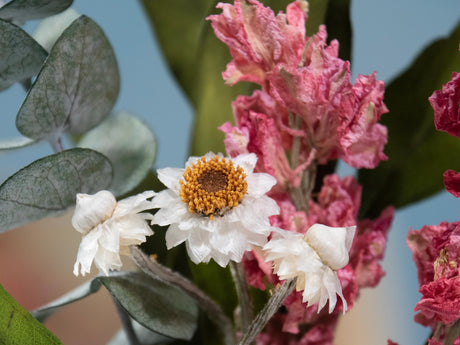 Eucalyptus & Pink Larkspur Mini Bouquet #57