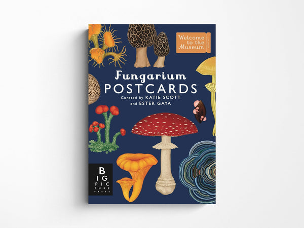 Fungarium Postcard Box Set – Jenni Bick Custom Journals