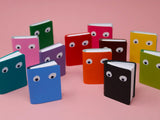 Googly Eyes Mini Notebook