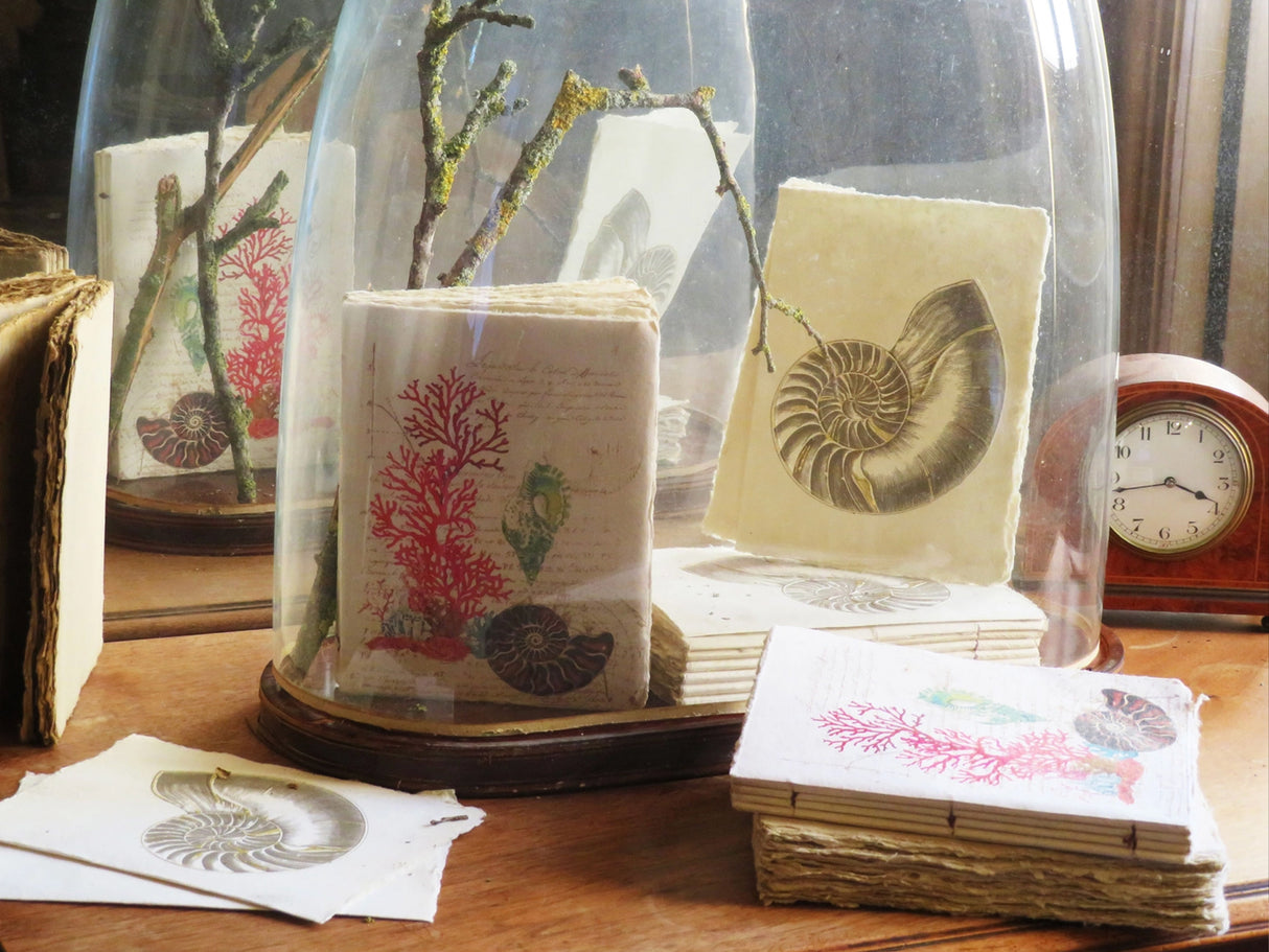 Handmade Parchment Paper Notebook - Coral & Shell