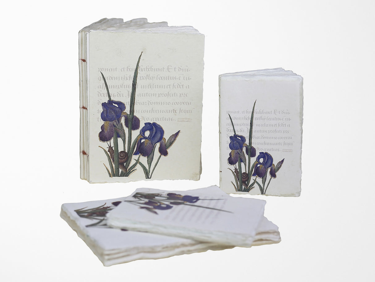 Handmade Parchment Paper Notebook - Illuminated Manuscript with Iris