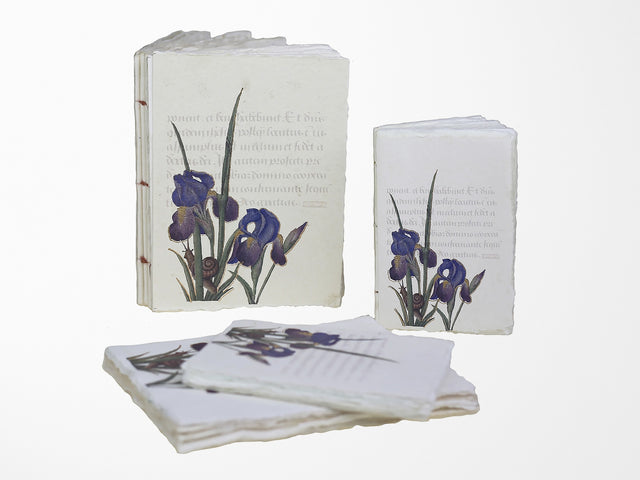 Handmade Parchment Paper Notebook - Illuminated Manuscript with Iris