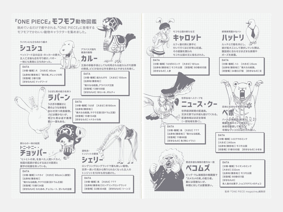 Hobonichi Techo 2027 Original Book A6 - ONE PIECE EDITION