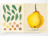 John Derian Sticker Book