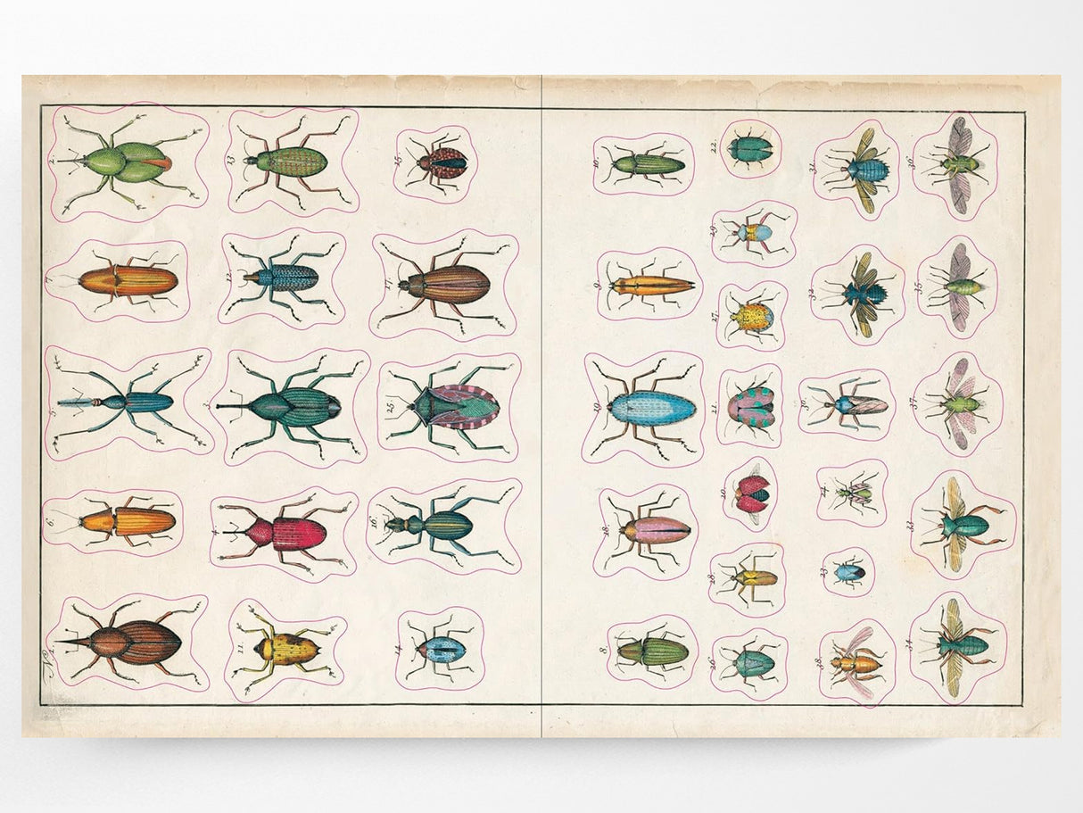 John Derian Sticker Book