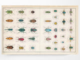 John Derian Sticker Book