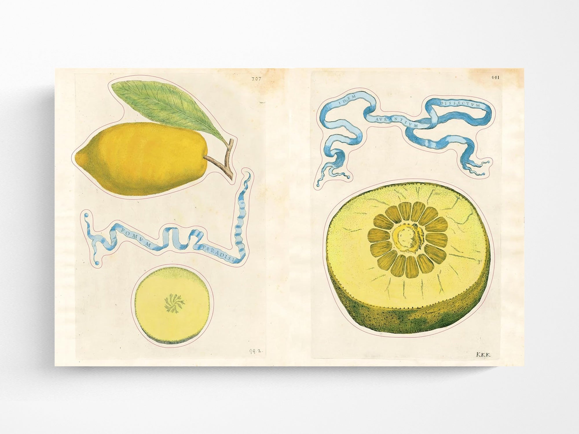 John Derian Sticker Book II – Jenni Bick Custom Journals