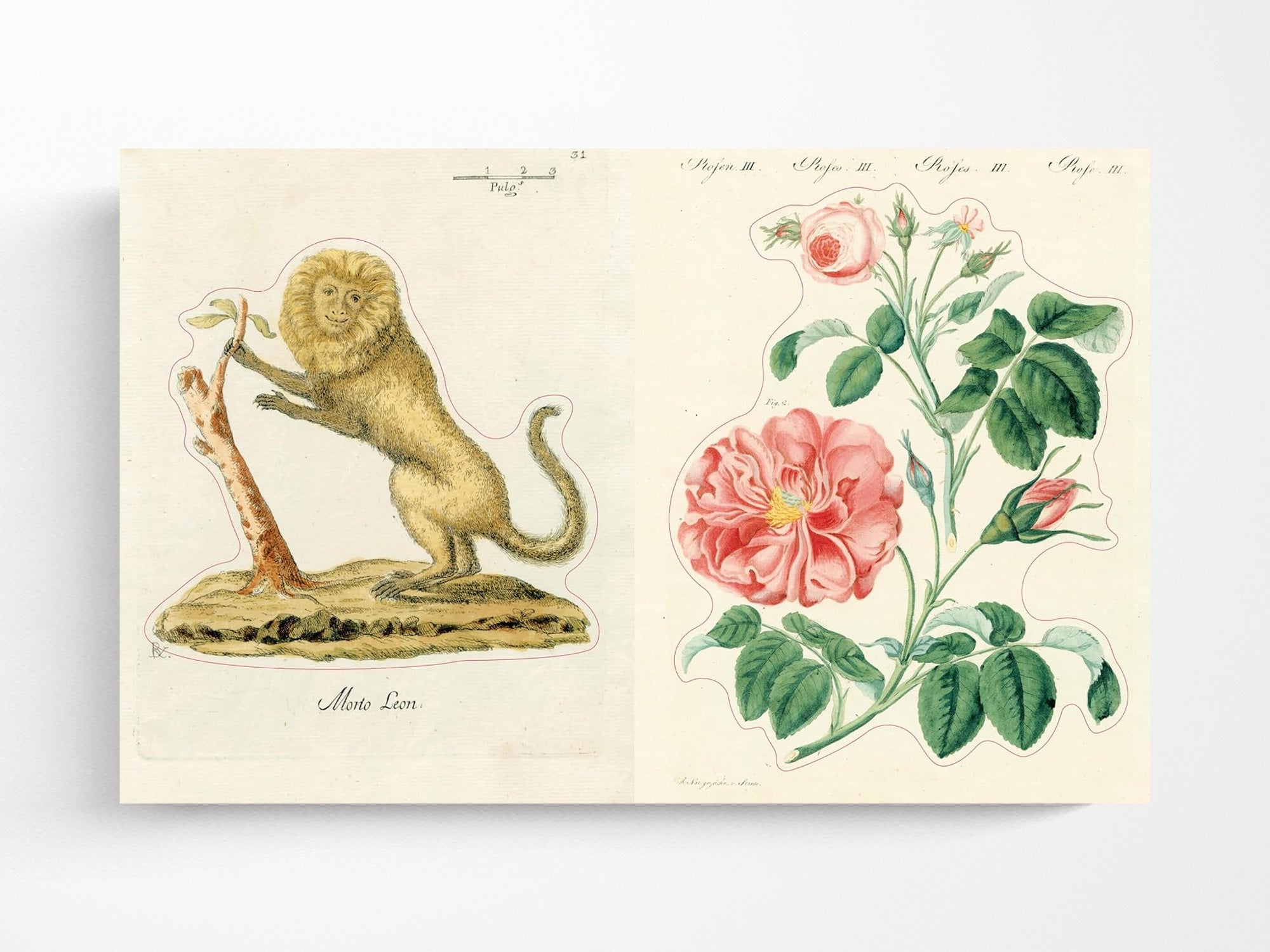洋書ジョン・デリアン(JOHN DERIAN) STICKER BOOK 1_72a785fe-519d-4956-8150-